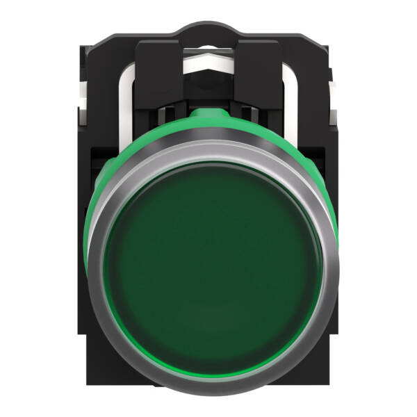 Illuminated push button, Harmony XB5, plastic, green flush, 22mm, universal LED, plain lens, 2NO, 24V AC DC - Schneider Electric - XB5AW33B3