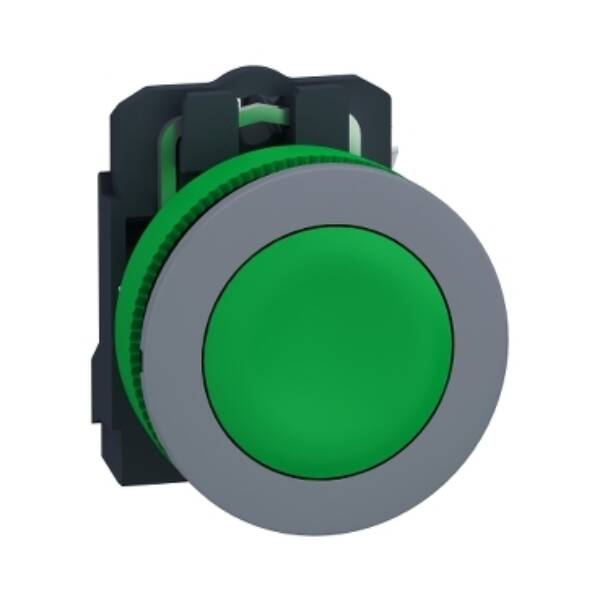 flush mounted green flush caps pushbutton 1NO screw clamp cp grey - Schneider Electric - XB5FA31C0