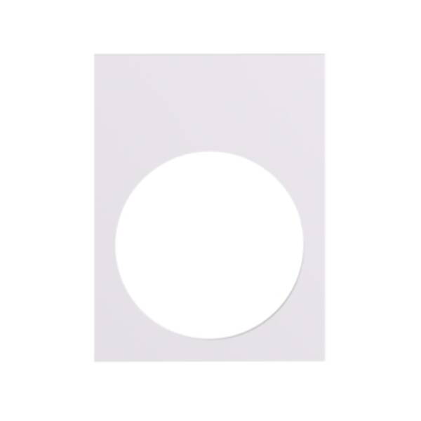 NAMEPLATE - - Schneider Electric - ZB2BY4101