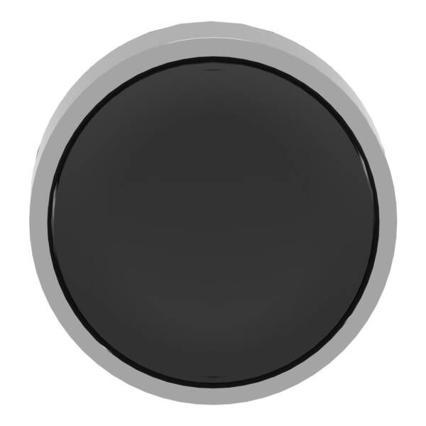 black flush pushbutton head Ø22 push-push unmarked - Schneider Electric - ZB4BH02