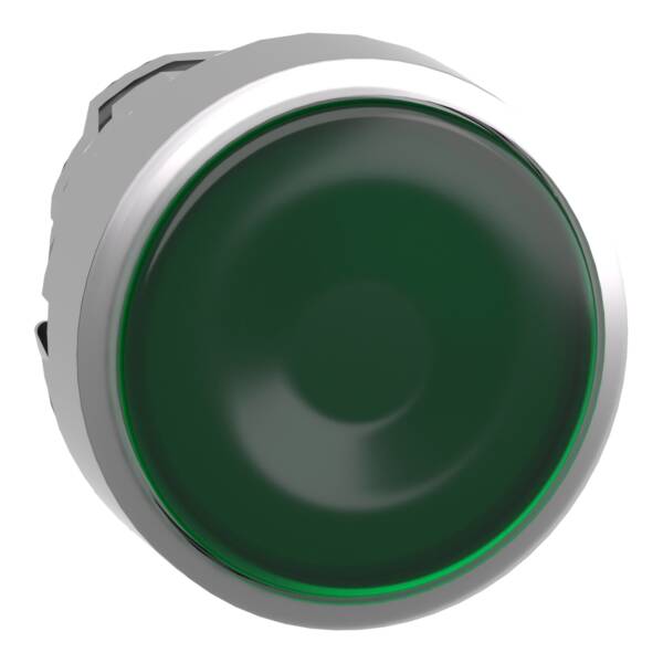 Head for illuminated push button, Harmony XB4, metal, green flush, 22mm, universal LED, push-push, unmarked - Schneider Electric - ZB4BH033