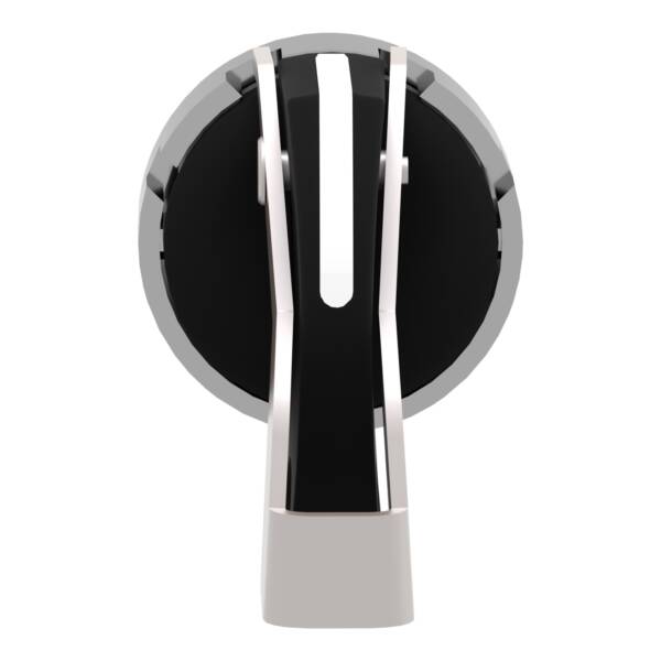 Harmony XB4, Selector switch head, metal, black, Ø22, long handle, 2 positions, stay put, padlockable on the left - Schneider Electric - ZB4BJ291
