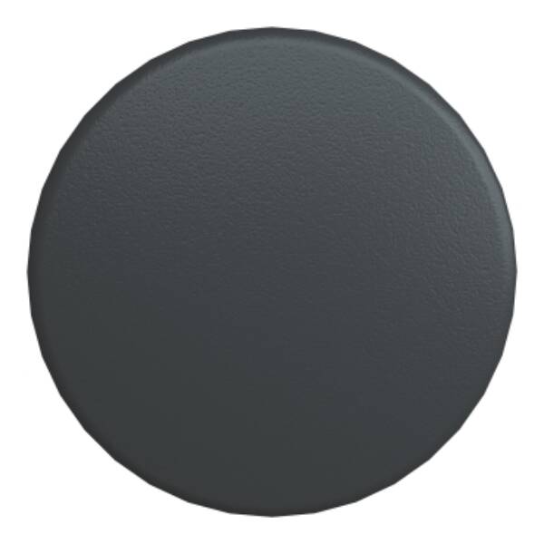 black Ø60 mushroom pushbutton head Ø22 spring return - Schneider Electric - ZB4BR216