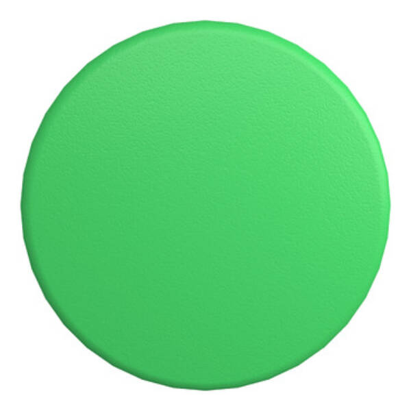 green Ø60 mushroom pushbutton head Ø22 spring return - Schneider Electric - ZB4BR3