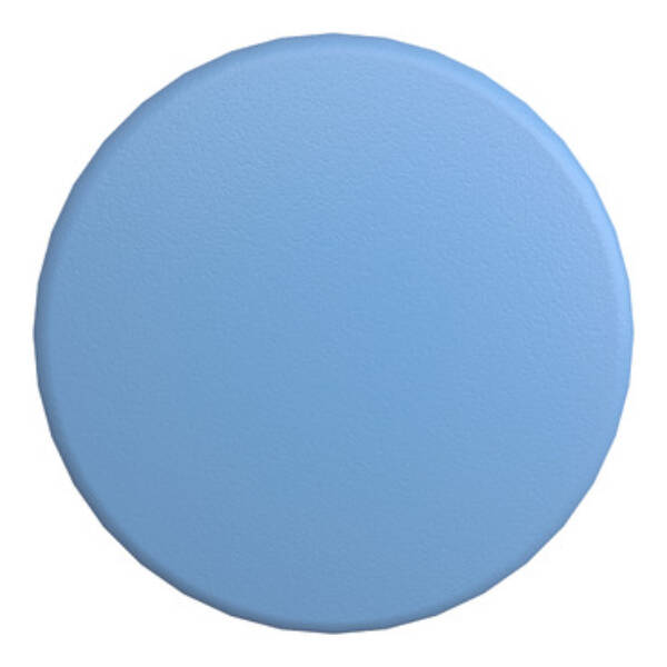 blue Ø60 mushroom pushbutton head Ø22 spring return - Schneider Electric - ZB4BR6