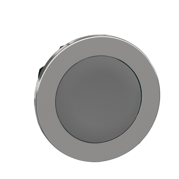 Head for non illuminated push button, Harmony XB4, flush mounted grey flush caps pushbutton - Schneider Electric - ZB4FA8