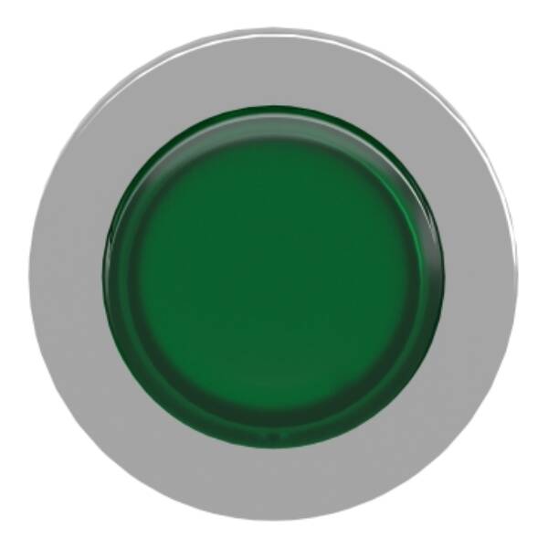 Head for illuminated push button, Harmony XB4, metal, green projecting, 30mm, universal LED, push-push, unmarked - Schneider Electric - ZB4FH33