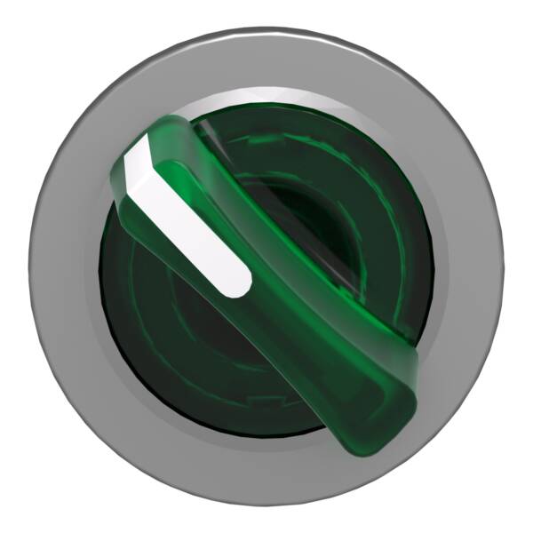 Head for illuminated selector switch, Harmony XB4, universal LED,  green handle, flush, 30mm, 2 positions, stay put - Schneider Electric - ZB4FK1233