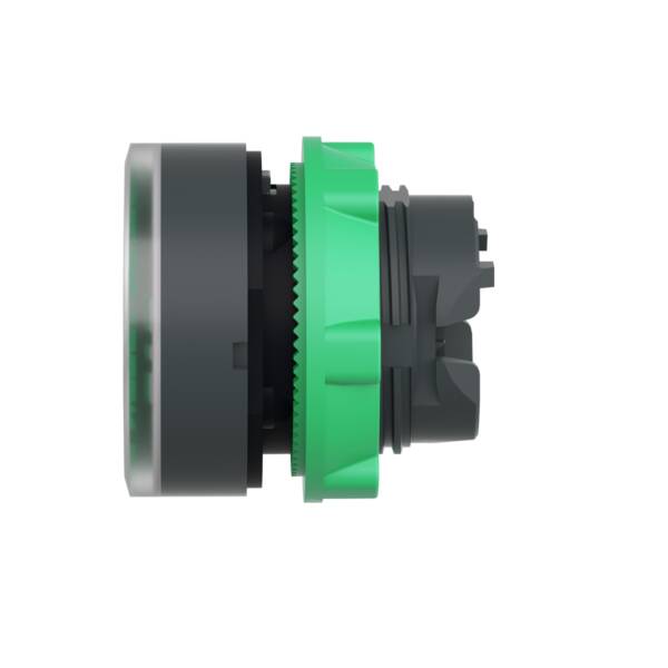 Head for illuminated push button, Harmony XB5, plastic, green flush, 22mm, universal LED, for insetion of legend - Schneider Electric - ZB5AA38