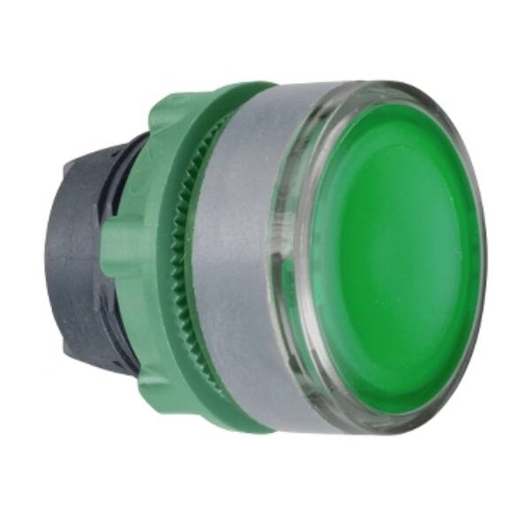 Harmony XB5, Illuminated push button head, plastic, flush, green, Ø22, push-push, integral LED, for insertion of legend, grey bezel - Schneider Electric - ZB5AH0383C0
