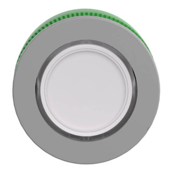 Head for illuminated push button, Harmony XB5, grey bezel, white flush mounted, 30mm, universal LED, for inserton of legend - Schneider Electric - ZB5FA18C0