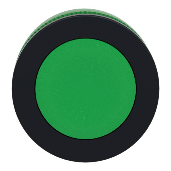 flush mounted green flush caps pushbutton head - Schneider Electric - ZB5FA3