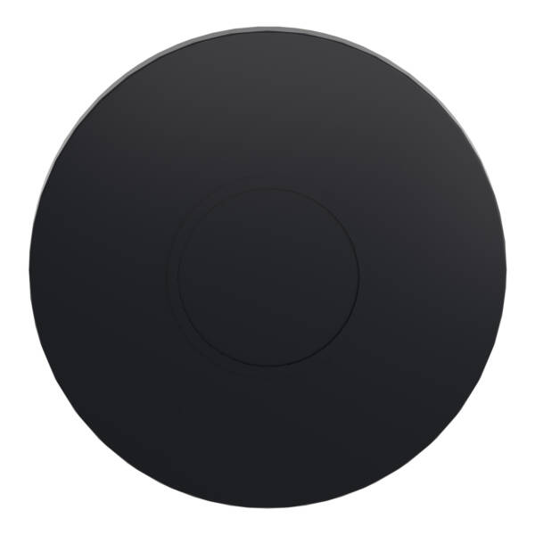 black round blanking plug for Ø22 hole - Schneider Electric - ZB5SZ3