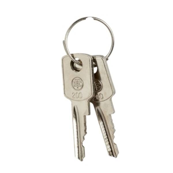 set of 2 keys 200 - Schneider Electric - ZB6Y007