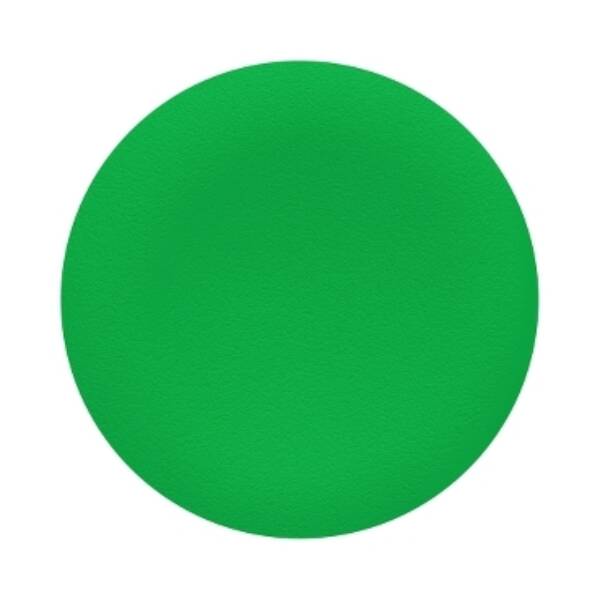 green cap unmarked for circular flush pushbutton Ø22 - Schneider Electric - ZBA3