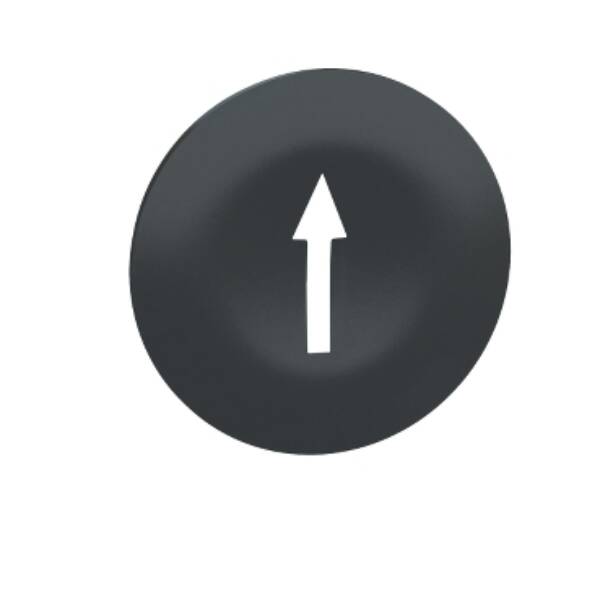 black cap marked arrow for rectangular multiple-headed pushbutton Ø22 - Schneider Electric - ZBA7235