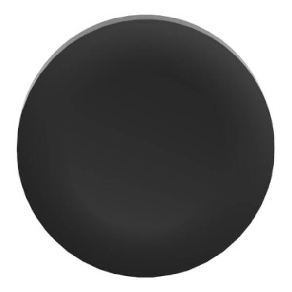 black plain cap for flush mounted push button - Schneider Electric - ZBAF2