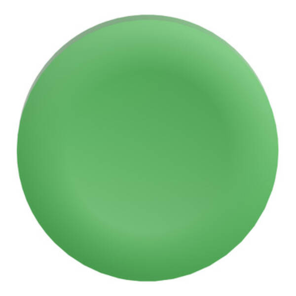 green plain cap for flush mounted push button - Schneider Electric - ZBAF3