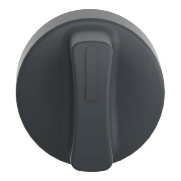 black boot for standard handle selector switch Ø22 - Schneider Electric - ZBDD2