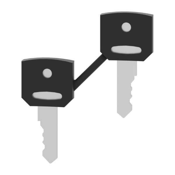 set of 2 keys 421E - Schneider Electric - ZBG421E