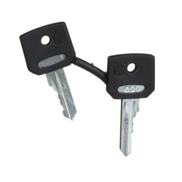 set of 2 keys 455 - Schneider Electric - ZBG455