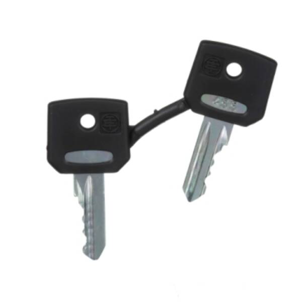 set of 2 keys 455 - Schneider Electric - ZBG455