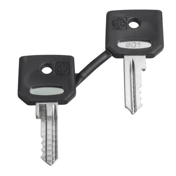 set of 2 keys 455 with one booted - Schneider Electric - ZBG455P