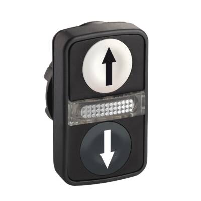 white flush/black flush illuminated double-headed pushbutton Ø22 with marking - Schneider Electric - ZB5AW7A1724