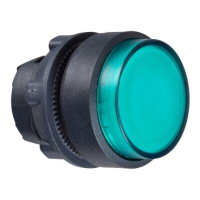 STRIATED LENS ILL. P.B HEAD - Schneider Electric - ZB5AWCUST03