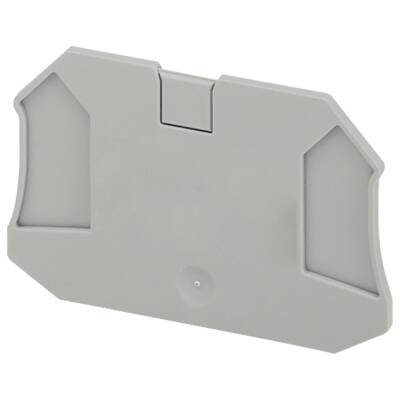 END COVER, 4PTS, 2,2MM WIDTH, FOR SCREW TERMINAL NSYTRV44 - Schneider Electric - NSYTRAC24