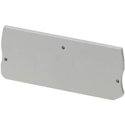 END COVER, 2PTS, 2,2MM WIDTH, FOR PUSH-IN DISCONNECT TERMINAL NSYTRP2 - Schneider Electric - NSYTRACPK22