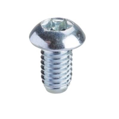 Torx screw T30 (M6x10). Supply: 50 units - Schneider Electric - NSYSPM6