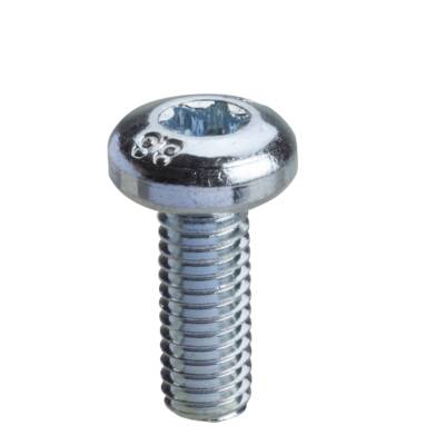 Torx screw M6x16mm without washer. Supply: 100 units - Schneider Electric - NSYST30M6