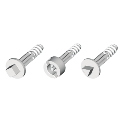 Triangular screws, Ø8 mm, for THALASSA boxes with 20 mm cover height. - Schneider Electric - NSYAEDST820TB