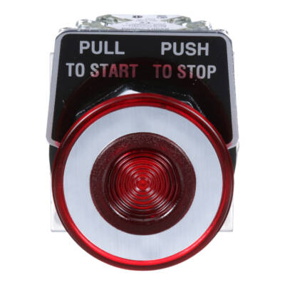 PUSHBUTTON 600VAC 10A 30MM TYPE K - Schneider Electric - 9001KR9RH13