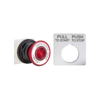 PUSHBUTTON OPERATOR 30MM SK +OPTIONS - Schneider Electric - 9001SKR9R05