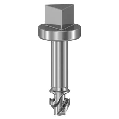 Triangular screws, Ø6.5 mm, for SBM boxes - Schneider Electric - NSYAEDSTSB