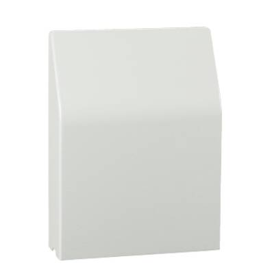 Painted steel cover cut-out 125x125mm with filter IP55 - Schneider Electric - NSYCAP125LZF