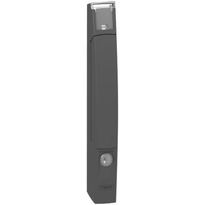 "PUSH BUTTON HANDLE WITH 3524E KEY" - Schneider Electric - NSYSFHPB