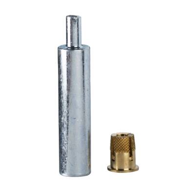 Expandable M6 nuts to be installed in the bosses of the polyester enclosures - Schneider Electric - NSYTEX6