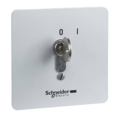 vandal resistant flush mounted control station - XAP-S - lock - Schneider Electric - XAPS14111N