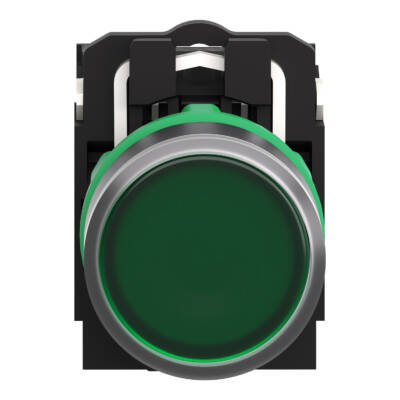 Illuminated push button, Harmony XB5, plastic, green flush, 22mm, universal LED, plain lens, 2NO, 24V AC DC - Schneider Electric - XB5AW33B3