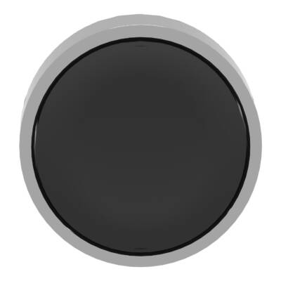 black flush pushbutton head Ø22 push-push unmarked - Schneider Electric - ZB4BH02