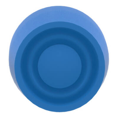 blue flush pushbutton head Ø22 spring return unmarked - Schneider Electric - ZB4BP6S