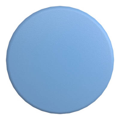 blue Ø60 mushroom pushbutton head Ø22 spring return - Schneider Electric - ZB4BR6