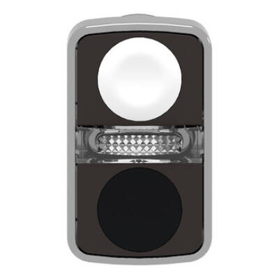white flush/black flush illuminated double-headed pushbutton Ø22 unmarked - Schneider Electric - ZB4BW7A1720