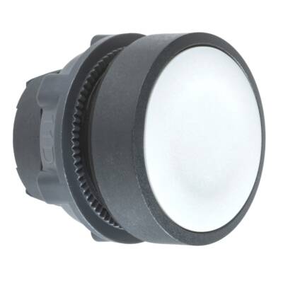 grey flush pushbutton head Ø22 spring return unmarked - Schneider Electric - ZB5AA8