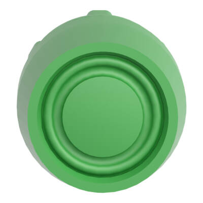 green flush pushbutton head Ø22 spring return unmarked - Schneider Electric - ZB5AP3S