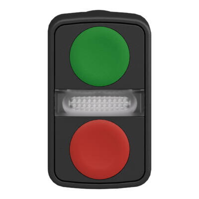 green flush/red flush illuminated double-headed pushbutton Ø22 unmarked - Schneider Electric - ZB5AW7A3740