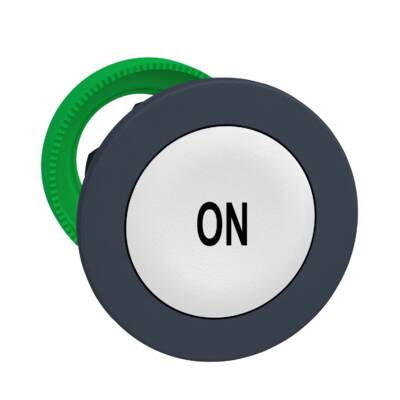 FLUSH MOUNTED WHITE FLUSH CAPS PUSHBUTTON HEAD BLACK MARKED ON - Schneider Electric - ZB5FA141
